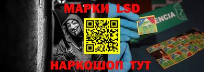гидропоника Пенза