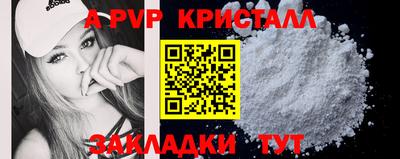 твердый Пугачёв