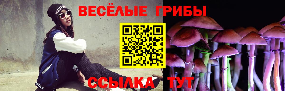 Галлюциногенные грибы Cubensis  Вход с VPN  где купить наркоту  Санкт-Петербург 